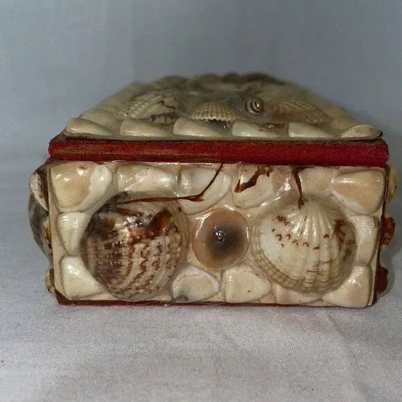 Shell Covered Small Box - Picture 7 of 9